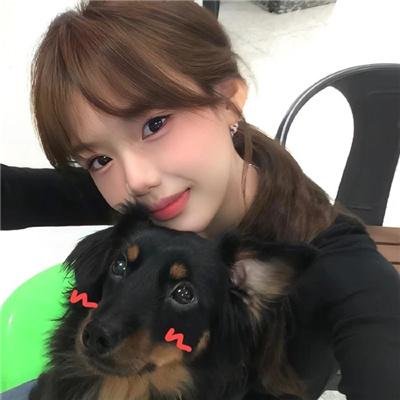 天堂岛疑云第四季